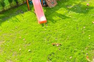 Gelsenkirchen-Feldmark | Wohnen, vermieten, wohlfühlen – Dreifamilienhaus mit Studio und Garten – Die vollständige Adresse der Immobilie erhältst du vom Anbieter., 45883 Feldmark, Gelsenkirchen – Vorschaubild 22
