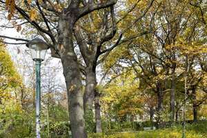 Bezugsfreie 2-Zimmer-Altbauwohnung – Mit Kiezflair zwischen Cafés, Boutiquen & Parks! – Driesener Straße 29, 10439 Prenzlauer Berg, Berlin – Vorschaubild 19