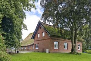 Charmantes Reetdach-Anwesen nahe der Elbe 
- Wohnen, Ferienvermietung & Pferdehaltung auf 10.480 m² – Die vollständige Adresse der Immobilie erhältst du vom Anbieter., 25599 Wewelsfleth – Vorschaubild 19