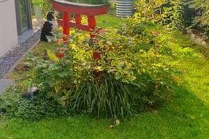 2-Raum-Wohnung in Berlin Tiergarten mit Gartenanteil – Die vollständige Adresse der Immobilie erhältst du vom Anbieter., 10555 Hansaviertel, Berlin – Vorschaubild 21