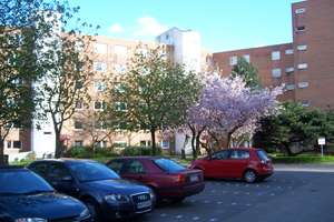 Klein aber Fein. 2 Zi.-Wohnung mit ca. 47 m², Balkon und Garage! – Ebeersreye 106, 22159 Farmsen-Berne, Hamburg – Vorschaubild 3