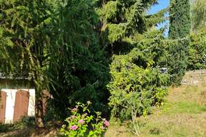 Geräumiges Mehrfamilienhaus in Chemnitz mit großem Garten – Die vollständige Adresse der Immobilie erhältst du vom Anbieter., 9131 Ebersdorf, Chemnitz – Vorschaubild 15