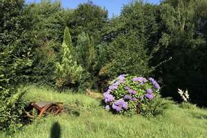 Freistehendes Haus am Waldrand mit großem Naturgarten und separatem Saunahaus – Die vollständige Adresse der Immobilie erhältst du vom Anbieter., 42929 Wermelskirchen – Vorschaubild 23