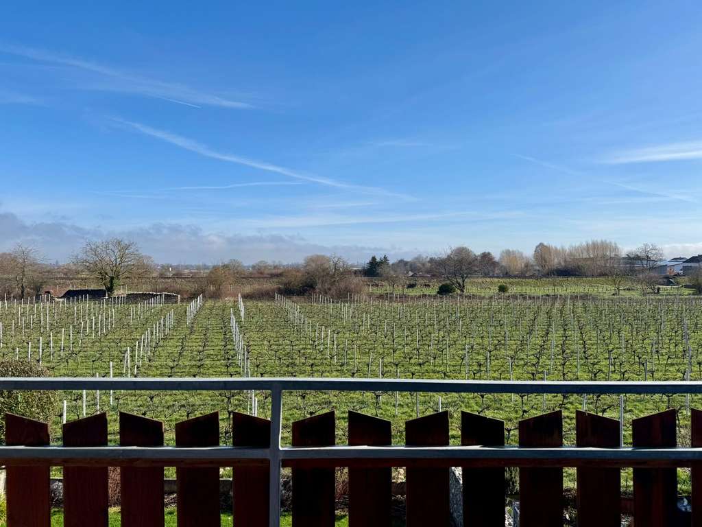 Immobilie in Edesheim - Familien-Idylle am Rebenmeer: Lichtdurchflutete DHH mit Traumblick in Edesheim - Bild 2