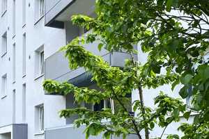 15-fache Rendite: Fliederhaus mit 18 Balkonwohnungen, Gartengrundstück & Garagen -  € 1.300/m² Wfl. – Aachen – Vorschaubild 4