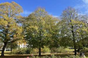 großzügiges 3,5 Zimmer Haus mit Ambiente Blick ins Grüne in Bestlage mit EBK in WOB-Rothenfelde – Rothenfelder Markt 8a, 38440 Rothenfelde, Wolfsburg – Vorschaubild 24
