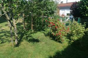 Renoviertes Einfamilienhaus mit 6 Zimmern in Donauwörth – Corvinusstraße 7, 86609 Donauwörth – Vorschaubild 25