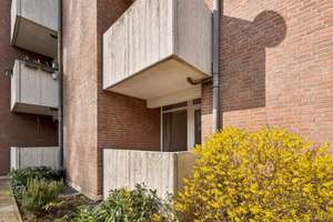 KERNSANIERTE 1-ZIMMER-WOHNUNG IN MÜNSTER – HOCHWERTIG & KOMPLETT MÖBLIERT – Meinertzstr 44, 48159 Kinderhaus-West, Münster – Vorschaubild 12