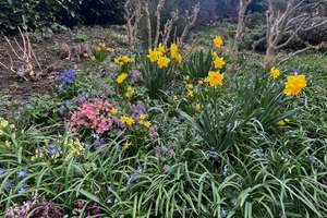 Property thumbnail 14