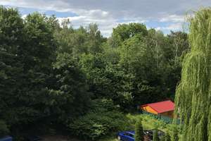Frisch renovierte 3 Zimmer Whg mit  Balkon & Grünblick – Karnaper Straße 209, 45329 Karnap, Essen – Vorschaubild 3