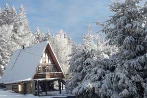Ferienhaus / Wochenendhaus / Finnhütte mit ca. 90m² Wohnfläche in Suhl-Goldlauter - Am Geiersberg 2 – Die vollständige Adresse der Immobilie erhältst du vom Anbieter., 98528 Goldlauter-Heidersbach, Suhl – Vorschaubild 1