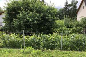 Gepflegte 1-Zimmer-Wohnung mit Terrase und neuer Einbauküche in Heilbronn