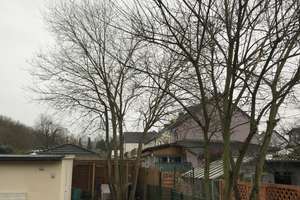 Reihenhaus Dorneywald 44149 ruhige Lage – Die vollständige Adresse der Immobilie erhältst du vom Anbieter., 44149 Kley, Dortmund – Vorschaubild 3