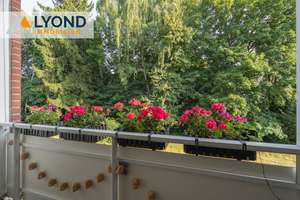 Property thumbnail 16