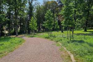 Renditeobjekt mit Grünblick: Vermietete 3-Zimmer-Wohnung direkt am Park – Die vollständige Adresse der Immobilie erhältst du vom Anbieter., 1157 Briesnitz, Dresden – Vorschaubild 7