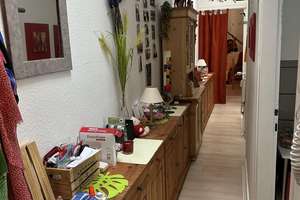 Großzügiges Wohnen auf zwei Ebenen - 3 Schlafzimmer und gepflegtes Ambiente in Hagen-Hohenlimburg – Freiheitstraße 38, 58119 Hohenlimburg (Ortsteil), Hagen – Vorschaubild 5