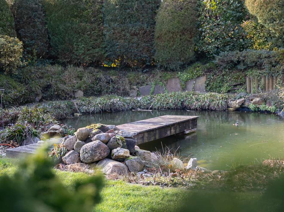Gartenteich