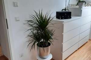 3-Zimmer-Dachgeschosswohnung in Augsburg Haunstetten – Olympiastrasse 21, 86179 Haunstetten-Nord, Augsburg – Vorschaubild 6