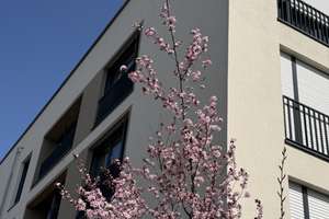 Komfortables Wohnen auf 102,7 m² mit 3 Zimmern in Nürnberg