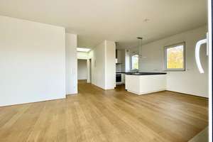 Über Mainz - atemberaubender Panoramablick... mit dem Aufzug in Ihr Penthouse – Die vollständige Adresse der Immobilie erhältst du vom Anbieter., 55130 Laubenheim, Mainz – Vorschaubild 31