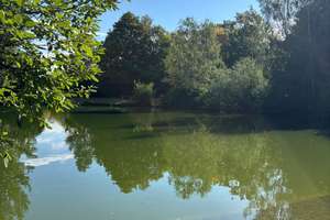 Ideal für ein Paar * schöne Süd/West Terrasse * Ruhig am Perlacher Park * – 81739 Altperlach, München – Vorschaubild 3