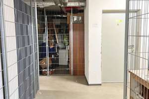 Solide Kapitalanlage mit 3,8% BME im KFW 55 Haus: 2 Zimmer Terrassenwohnung nahe Teltower Kanal – Die vollständige Adresse der Immobilie erhältst du vom Anbieter., 14513 Teltow – Vorschaubild 8