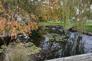 Gr. EFH / 2874 m² Grdst./ Teich/ NG in Hanshagen, ca. 10 min. von Grevesmühlen entfernt – Die vollständige Adresse der Immobilie erhältst du vom Anbieter., 23936 Grevesmühlen – Vorschaubild 11