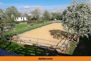 TOP: Anwesen mit Reitplatz! – Holzminden (Kreis) – Vorschaubild 1