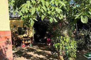 Ludwigshafen-Edigheim: Zweifamilienhaus, 230 m², Wintergarten, Dachterrasse, 2 Garagen – 67069 Edigheim, Ludwigshafen am Rhein – Vorschaubild 9