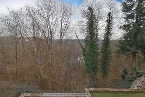 saniertes Einfamilienhaus mit tollem Blick. – Die vollständige Adresse der Immobilie erhältst du vom Anbieter., 66953 Pirmasens, Pirmasens – Vorschaubild 8