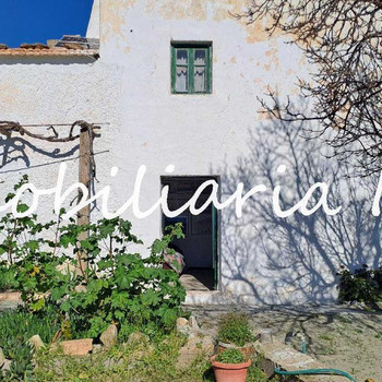 Landhaus mit 3 Schlafzimmern, 1 Badezimmer und Mandel- und Olivenanbau!