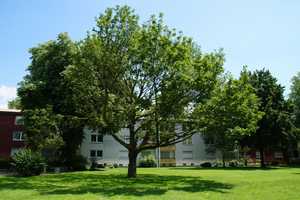 Helle Wohnungen mit Seniorenbadewanne und Balkon im grünen Zinkhüttenpark! – August-Thyssen-Straße 53, 47166 Duisburg – Vorschaubild 16