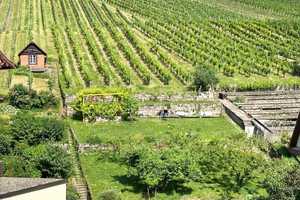Charmantes Mehrfamilienhaus mit Blick in die Weinberge – Stuttgart – Vorschaubild 2