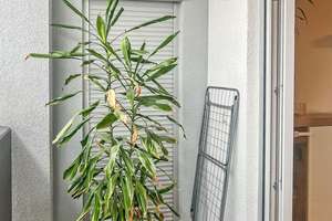 Traumhafte 3-Zimmer Wohnung in Top-Lage von Heilbronn Ost – 74074 Heilbronn, Heilbronn – Vorschaubild 11