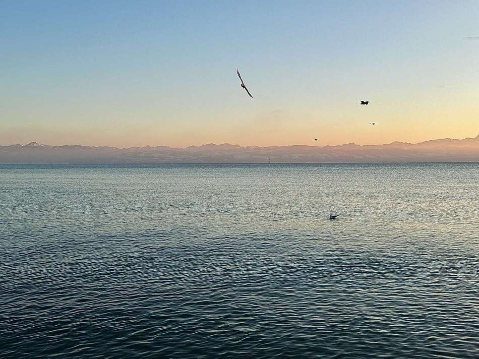 9rLgHVA5EfVrh9h3PeUtH4iQ-big I