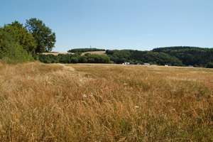 "VIEL PLATZ FÜR IHRE IDEEN – WOHNHAUS MIT WERKSTATT - NEBENGEBÄUDEN UND GARTEN - IN DER EIFEL" – Die vollständige Adresse der Immobilie erhältst du vom Anbieter., 56759 Kalenborn – Vorschaubild 26