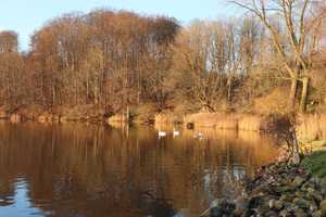 Wassergrundstück mit Doppelhaus, Einliegerwohnung und Gewerbeeinheit – Schleswig-Flensburg (Kreis) – Vorschaubild 2