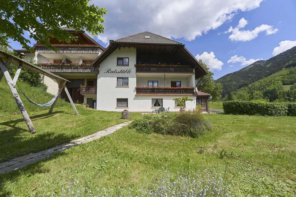 Immobilie in Simonswald - Aus Pension wird Perspektive – Eigentumswohnungen in einer engagierten Baugemeinschaft. - Bild 3