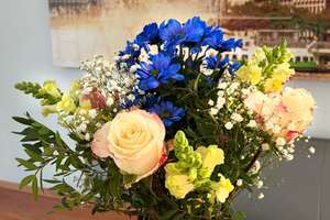 Property thumbnail 15