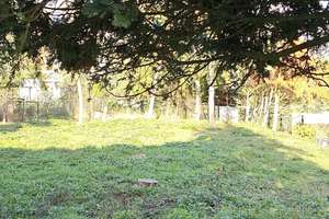 Einfamilienhaus in zentraler Lage von Aken - Ihr neues Projekt wartet! – Die vollständige Adresse der Immobilie erhältst du vom Anbieter., 6385 Aken (Elbe) – Vorschaubild 16
