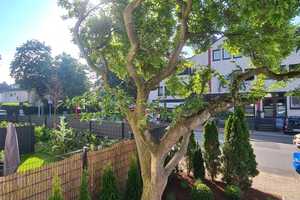 2,5-Zimmer-Apartment in Köln-Junkersdorf – stilvoll wohnen in bester Lage  – Köln – Vorschaubild 8