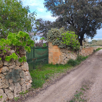Finca mit traditionellem Haus