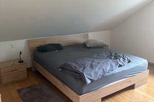 Tolle voll möblierte Altbau Wohnung im schönen Fechingen – Alte-Kelter Straße 8a, 66130 Brebach-Fechingen, Saarbrücken – Vorschaubild 3