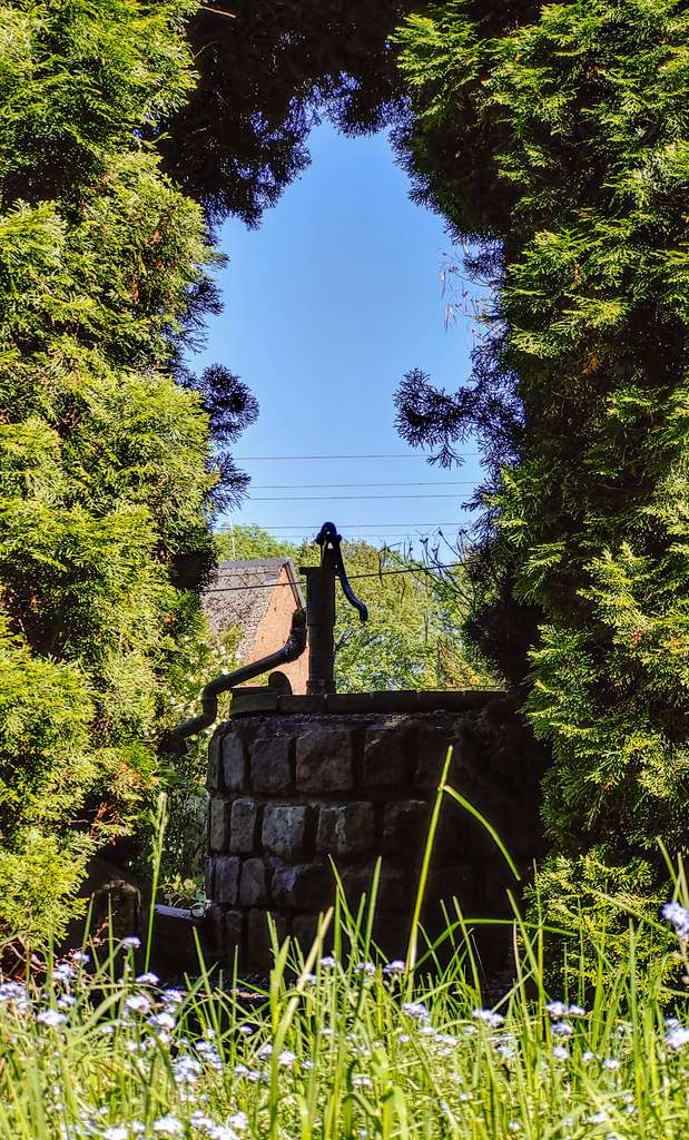 Immobilie in Großweitzschen - Großzügiges Einfamilienhaus auf idyllischem Grundstück und vielseitigen Nutzungsmöglichkeiten - Bild 3