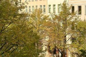 Lichtdurchflutete, bezugsfreie 2-Zimmer-Altbauwohnung in begehrter Kreuzberger Lage! – Urbanstraße 5, 10961 Kreuzberg, Berlin – Vorschaubild 34