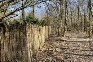 Property thumbnail 44