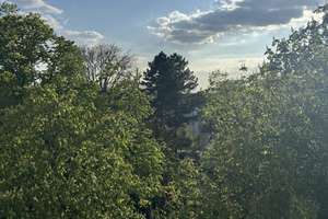 Attraktive DG-Wohnung -  Citylage im Grünen an Kuppelkirche, hohe Lebensqualität; von privat – Die vollständige Adresse der Immobilie erhältst du vom Anbieter., 64283 Mitte, Darmstadt – Vorschaubild 29