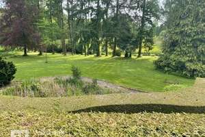 Asbach - Traumhaus mit viel Platz und idyllischem Grundstück
 – Die vollständige Adresse der Immobilie erhältst du vom Anbieter., 53567 Asbach – Vorschaubild 3