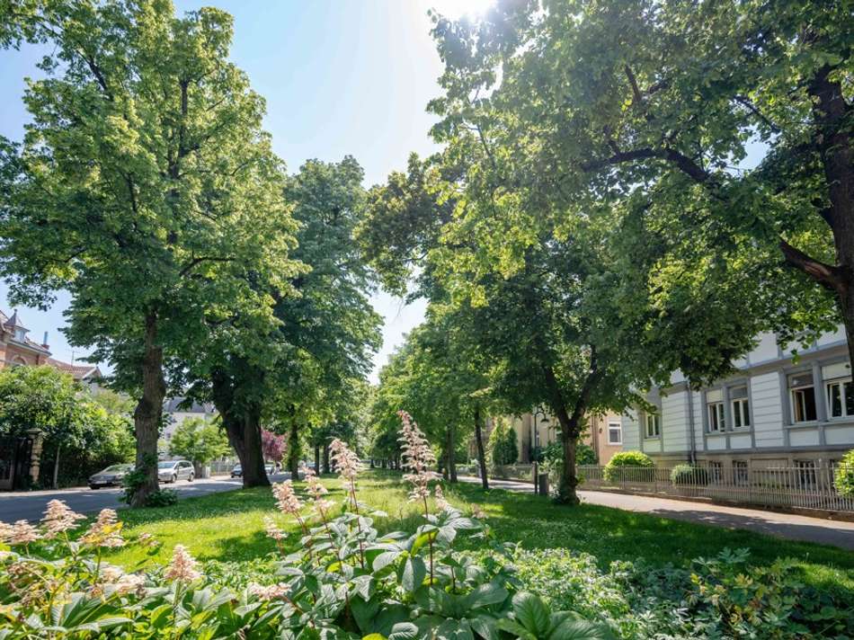 Eine parkähnliche Anlage liegt