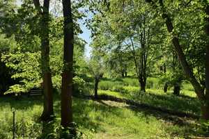 Ein Ort der Ruhe - Liebevoll gestalteter Vierseithof an der Havel - Vielseitig nutzbar! – Havelland (Kreis) – Vorschaubild 9